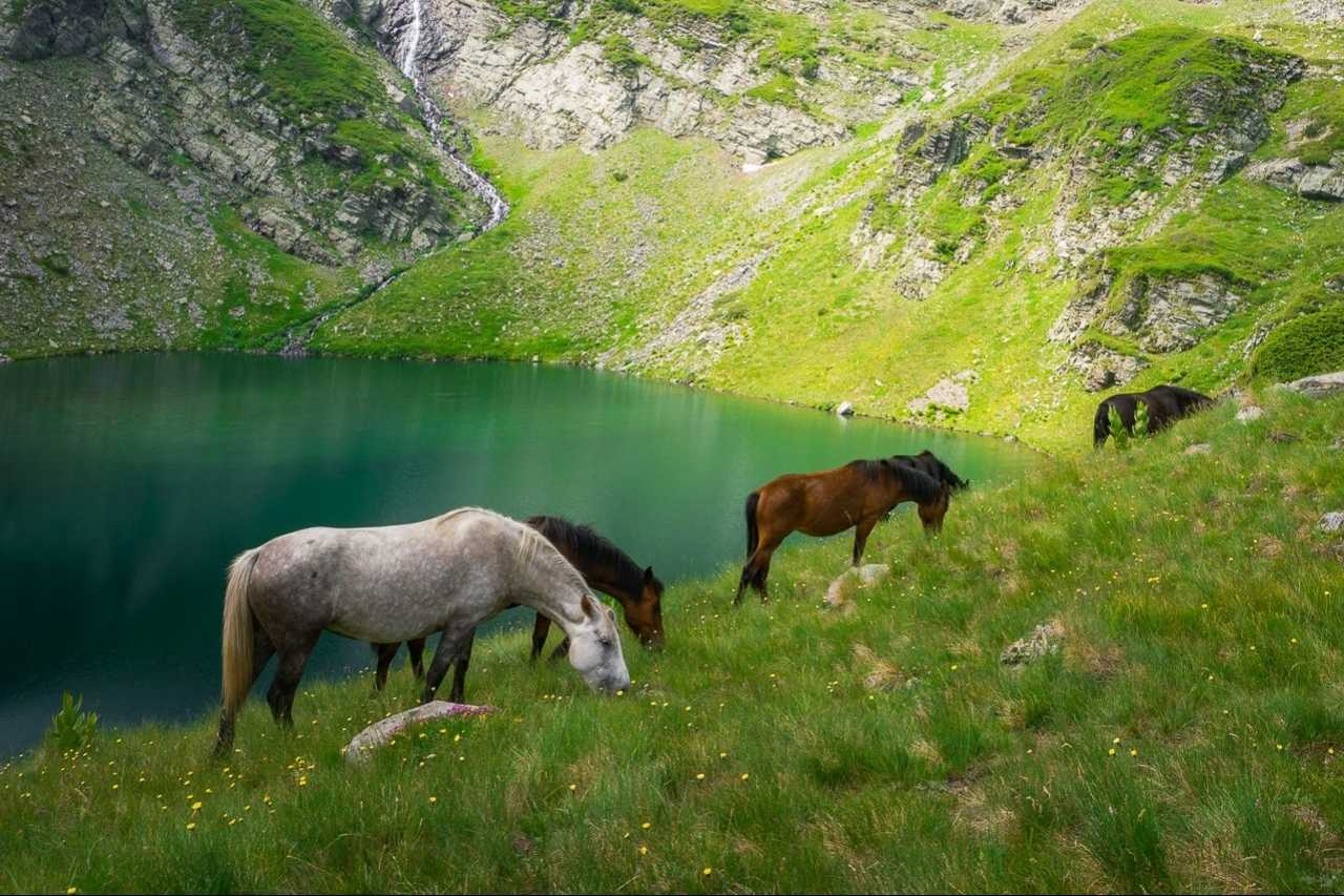 Седемте рилски езера